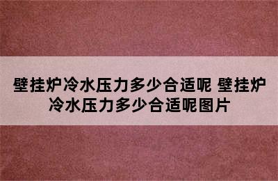 壁挂炉冷水压力多少合适呢 壁挂炉冷水压力多少合适呢图片